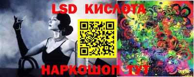 гидропоника Краснодар