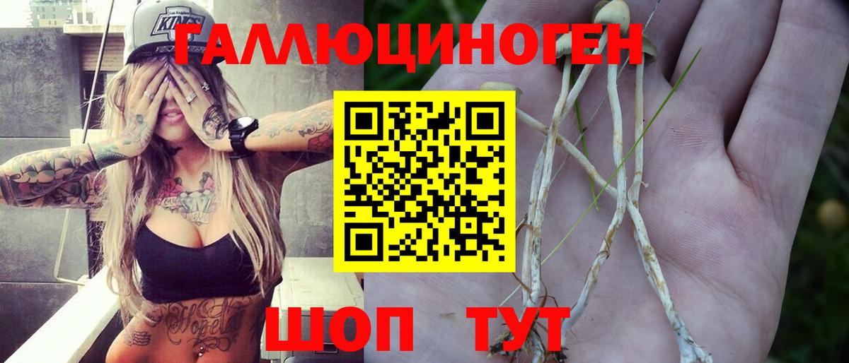Псилоцибиновые грибы прущие грибы Янаул